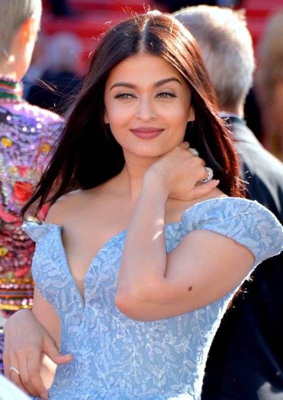 Aishwarya Rai Bachchan alone at Cannes in 2017